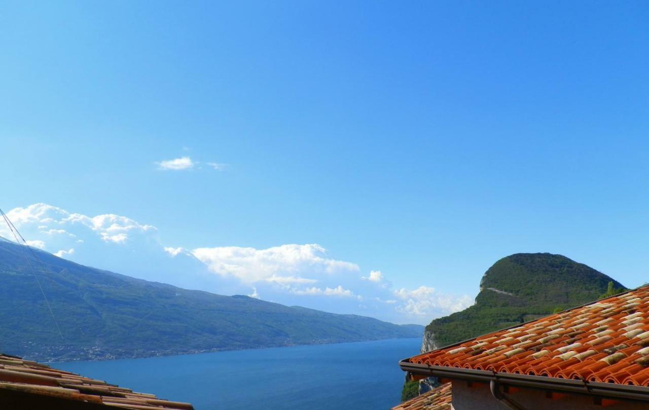 Apartmán Ulivi Sul Garda Garden By Gardadomusmea Tremosine Exteriér fotografie