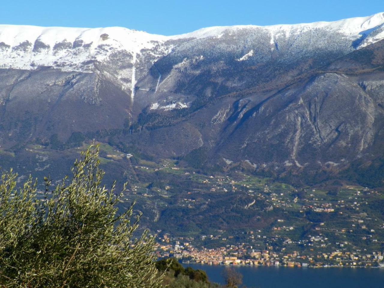 Apartmán Ulivi Sul Garda Garden By Gardadomusmea Tremosine Exteriér fotografie