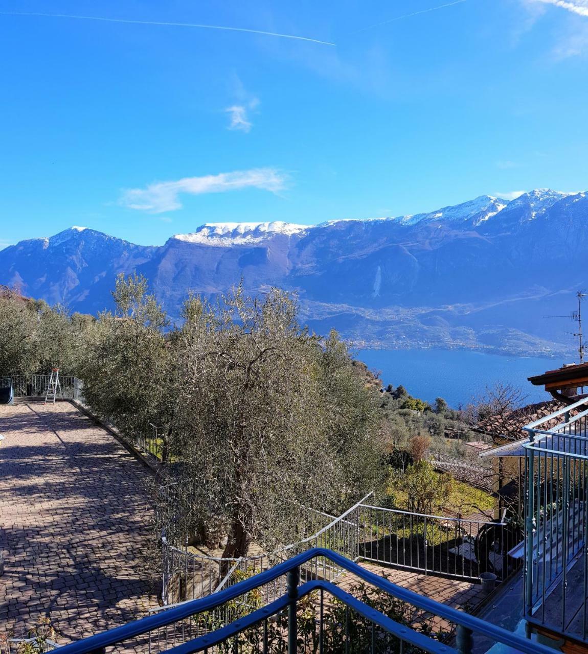 Apartmán Ulivi Sul Garda Garden By Gardadomusmea Tremosine Exteriér fotografie