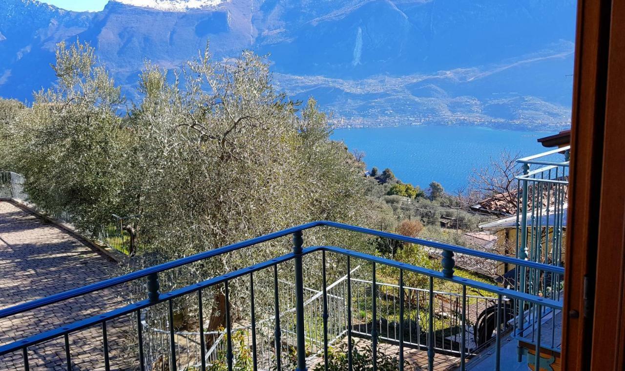 Apartmán Ulivi Sul Garda Garden By Gardadomusmea Tremosine Exteriér fotografie