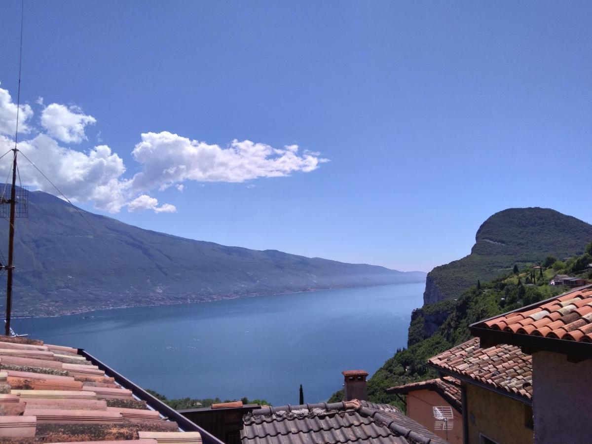 Apartmán Ulivi Sul Garda Garden By Gardadomusmea Tremosine Exteriér fotografie